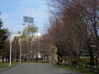 hanasaki_2016_0502_003.jpg