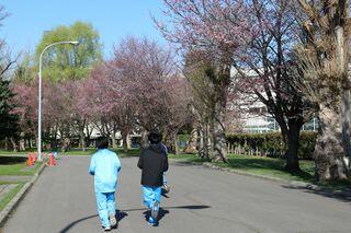 hanasaki_2019_05_04_002.jpg