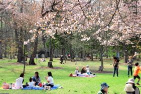 kaguraoka_2015_05_01_0427.JPG