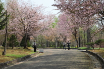 kaguraoka_2015_05_01_210px.JPG