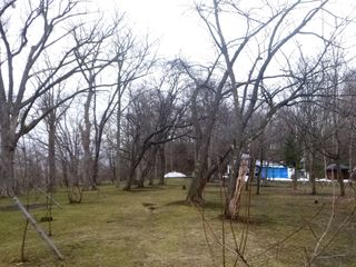 kaguraoka_2016_0415_003.JPG