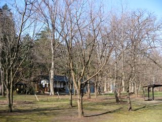 kaguraoka_2016_0425_001.jpg