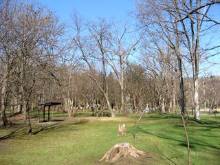 kaguraoka_2016_0427_002.jpg