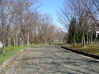 kaguraoka_2016_0427_003.jpg