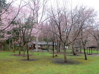 kaguraoka_2016_0505_002.jpg
