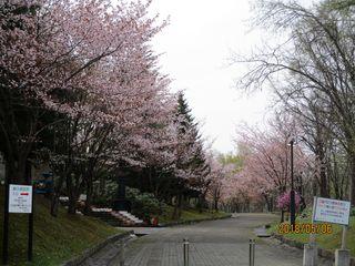kaguraoka_2018_05_06_005.jpg