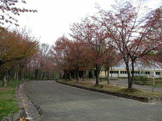 kaguraoka_2019_05_10_001.jpg