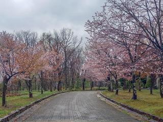 kaguraoka_2022_05_04_001.jpg