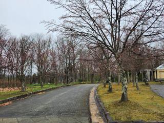 kaguraoka_2023_04_26_003.jpg
