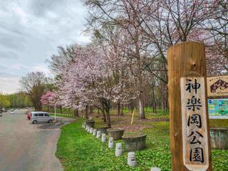 kaguraoka_2024_04_28_002.jpg