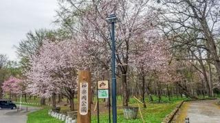 kaguraoka_2024_04_30_001.jpg