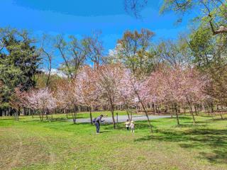 kaguraoka_2024_05_01_001.jpg