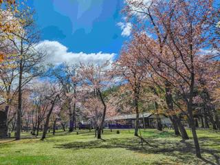 kaguraoka_2024_05_01_002.jpg