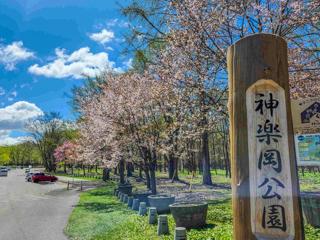 kaguraoka_2024_05_01_003.jpg