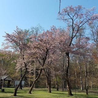 kaguraoka_2024_05_02_003.jpg