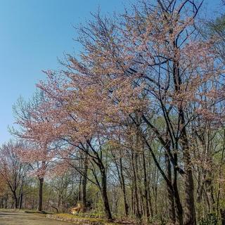 kaguraoka_2024_05_02_004.jpg