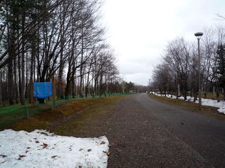 syunkoudai_2016_0415_001.JPG