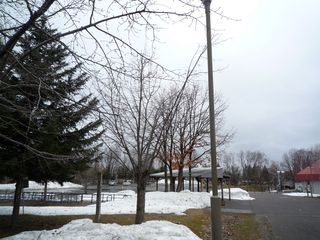 syunkoudai_2016_0415_004.JPG