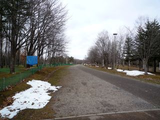 syunkoudai_2016_0419_001.jpg