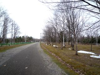 syunkoudai_2016_0419_002.jpg