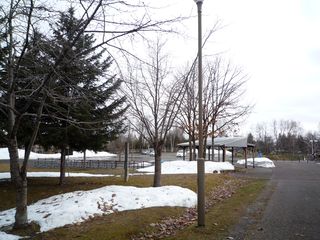 syunkoudai_2016_0419_003.jpg
