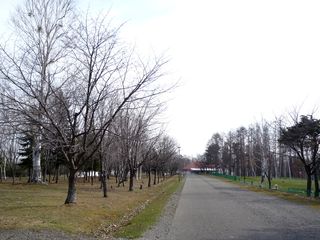syunkoudai_2016_0422_002.jpg