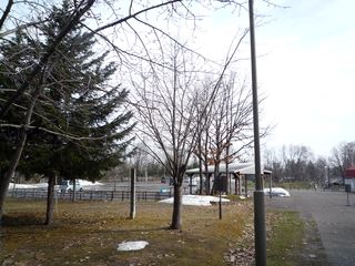 syunkoudai_2016_0422_003.jpg