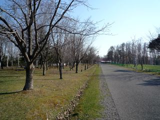 syunkoudai_2016_0425_002.jpg