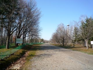 syunkoudai_2016_0427_001.jpg