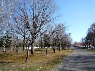 syunkoudai_2016_0427_002.jpg