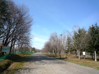 syunkoudai_2016_0428_001.jpg