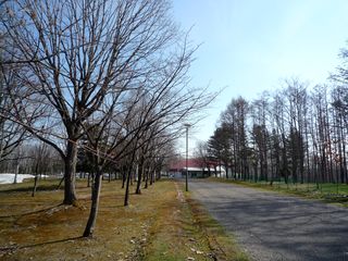 syunkoudai_2016_0428_002.jpg