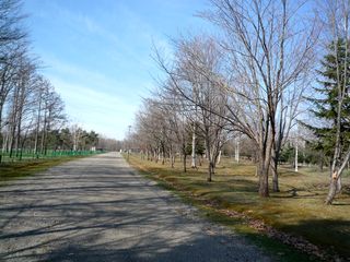 syunkoudai_2016_0428_003.jpg