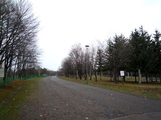 syunkoudai_2016_0429_001.jpg