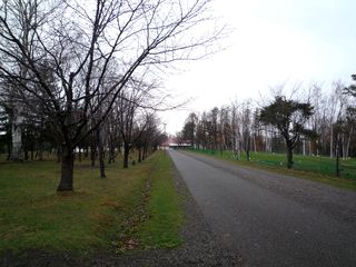 syunkoudai_2016_0429_002.jpg