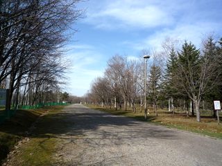 syunkoudai_2016_0502_001.jpg