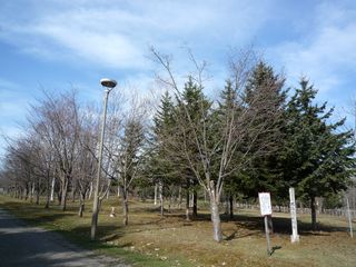 syunkoudai_2016_0502_002.jpg