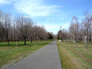syunkoudai_2016_0502_003.jpg