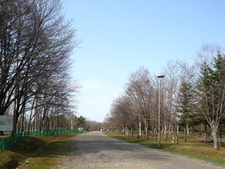 syunkoudai_2016_0503_001.jpg