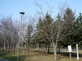 syunkoudai_2016_0503_002.jpg