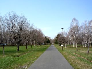 syunkoudai_2016_0503_003.jpg