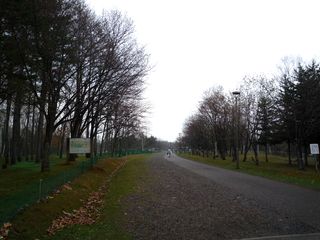 syunkoudai_2016_0504_001.jpg