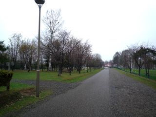 syunkoudai_2016_0504_002.jpg