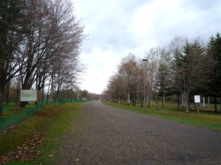 syunkoudai_2016_0505_001.jpg