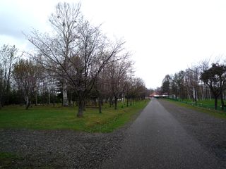 syunkoudai_2016_0505_002.jpg