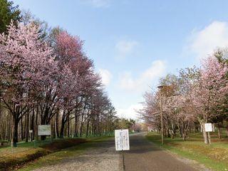 syunkoudai_2018_05_07_003.jpg