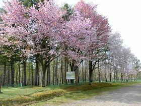 syunkoudai_2019_05_10_001.jpg