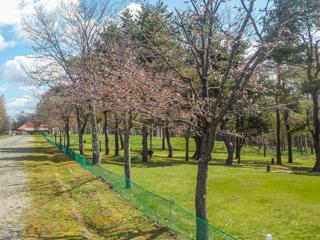 syunkoudai_2022_04_28_001.jpg