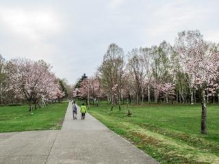 syunkoudai_2024_04_28_001.jpg