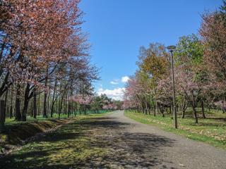 syunkoudai_2024_05_01_001.jpg
